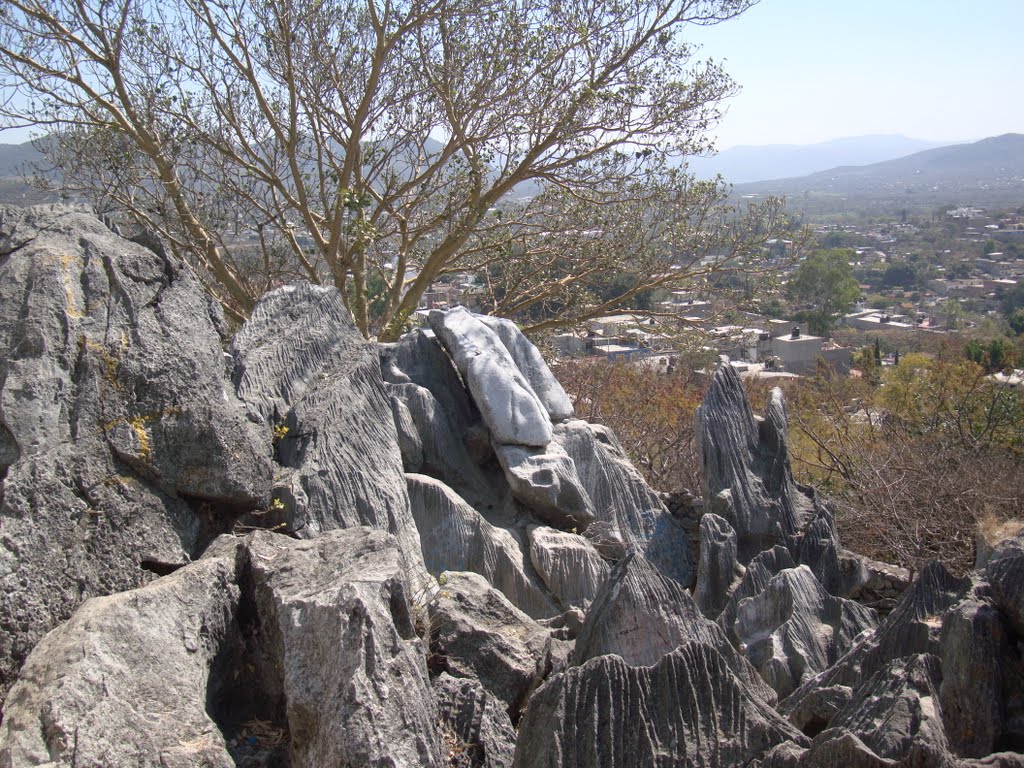La Tecampana, Teloloapan, Guerrero.