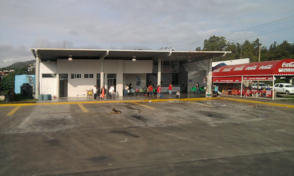 Andenes Interior de la Terminal de Autobuses de Teloloapan