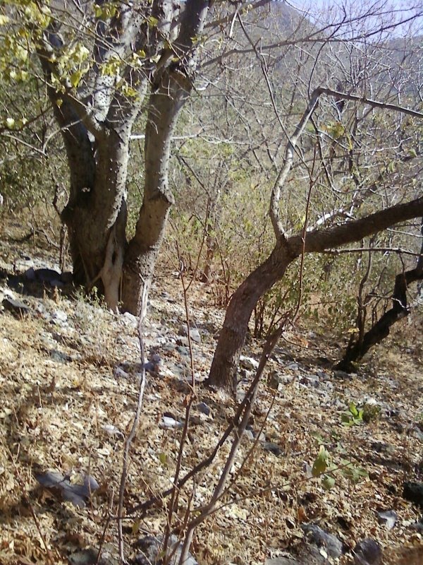 Paisaje