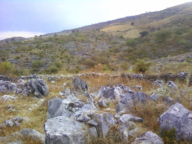 Paisaje