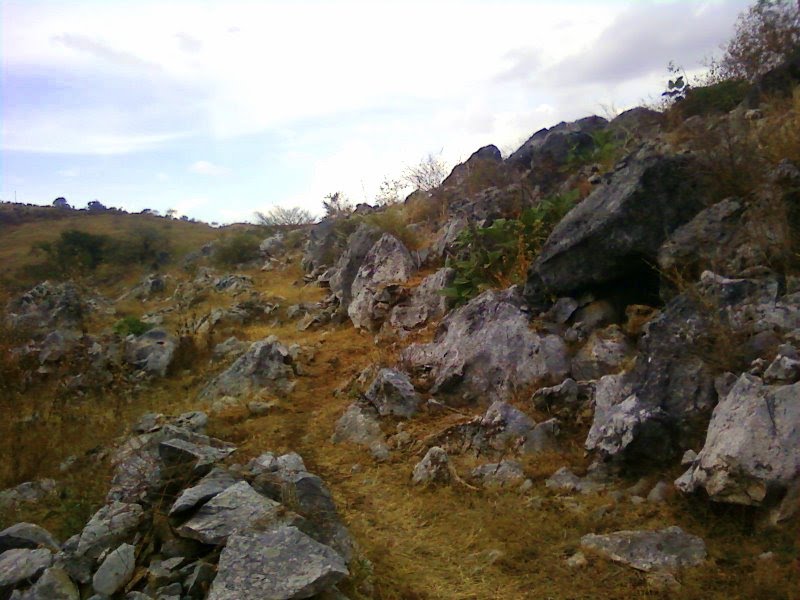 Sendero