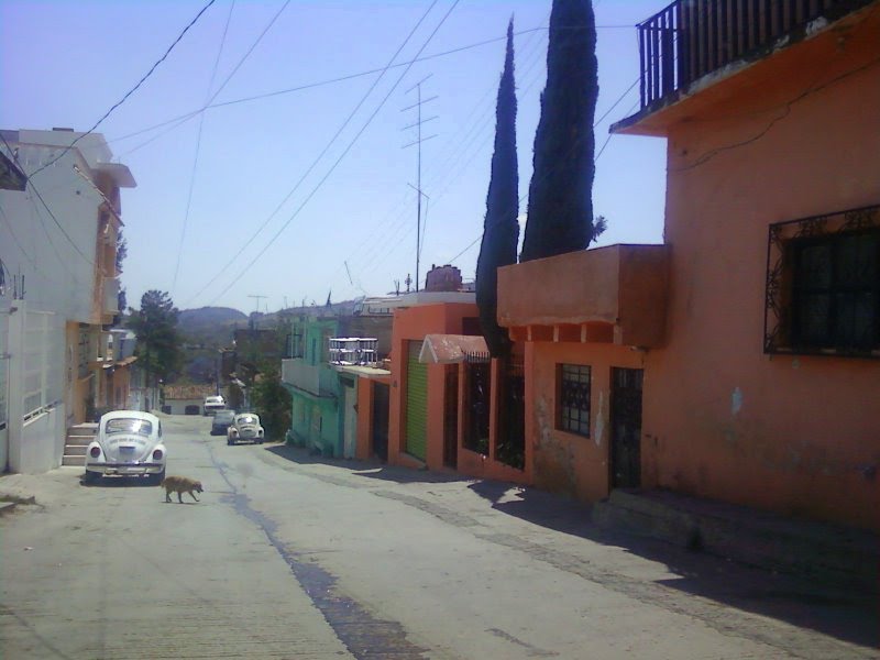 Calle Pedro Ascencio 2