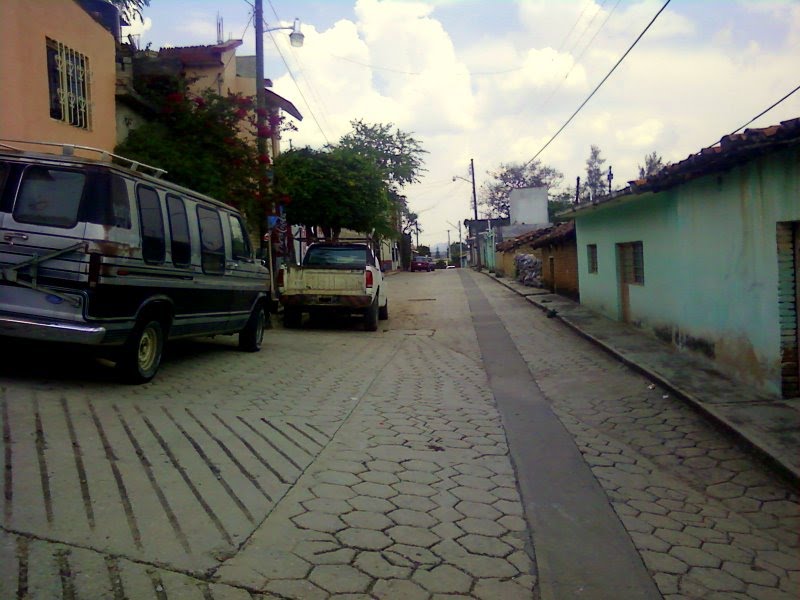 Framboyanes