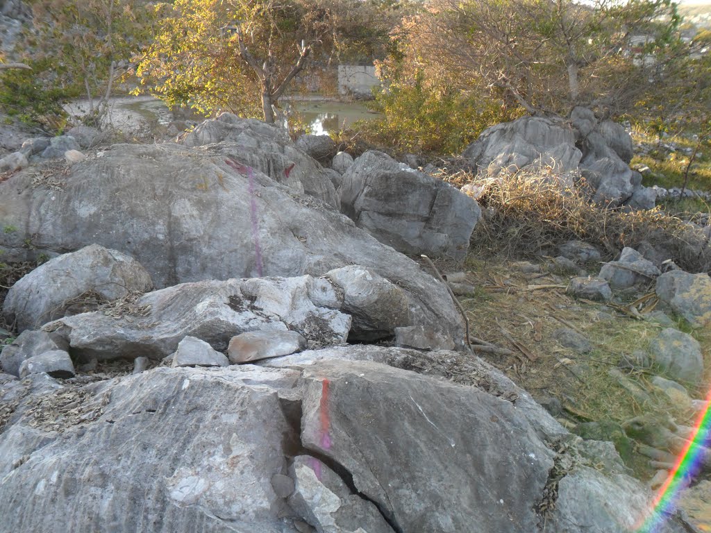 Rocas