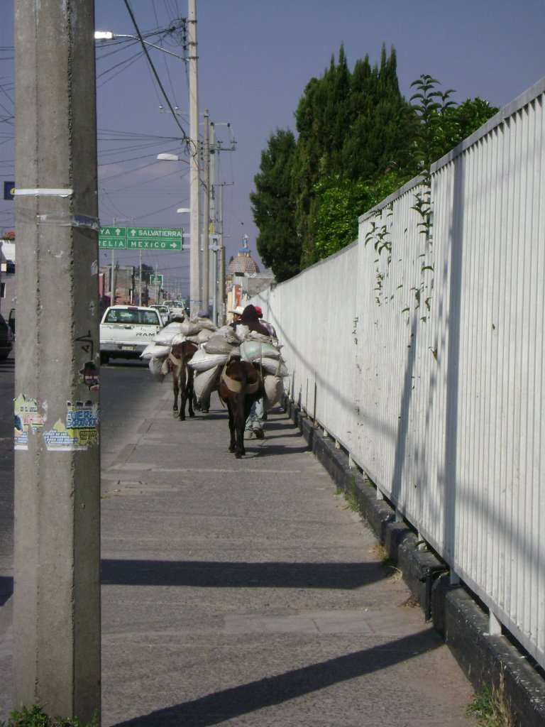 Aun es buen transporte (Acambaro, Gto.) Centro