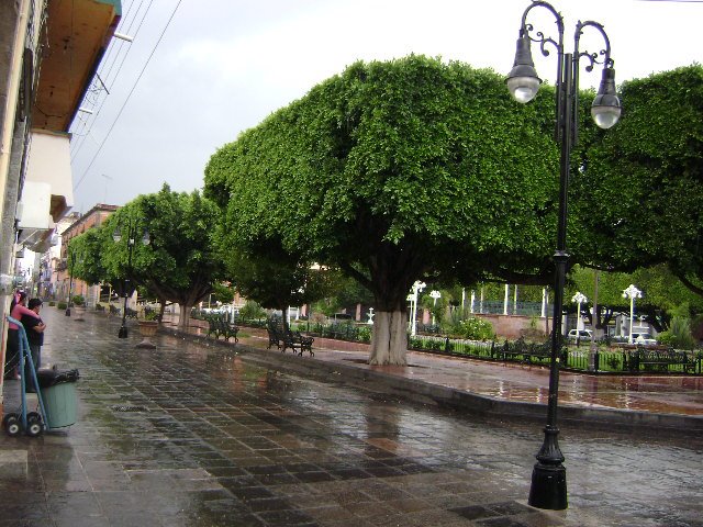 plaza en acambaro, gto.