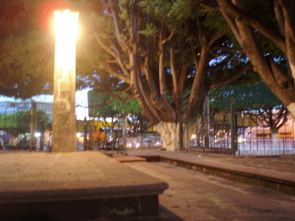 Luminaria.