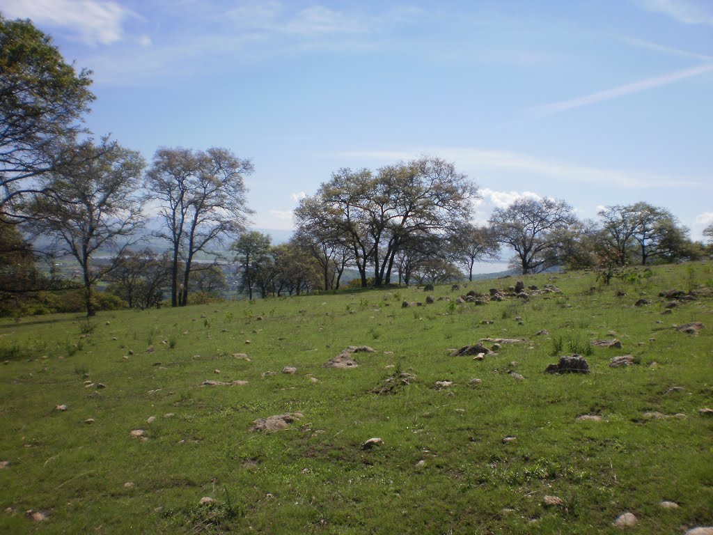 Reserva natural del cerro del Toro