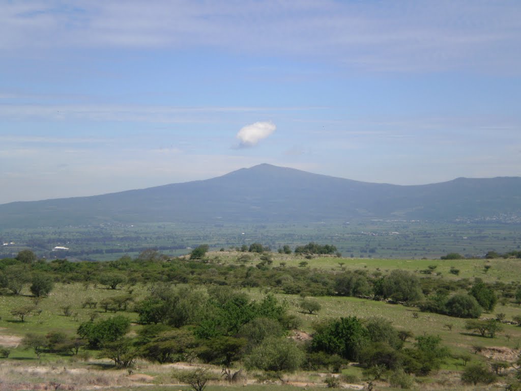 Resrva natural del cerro del Toro
