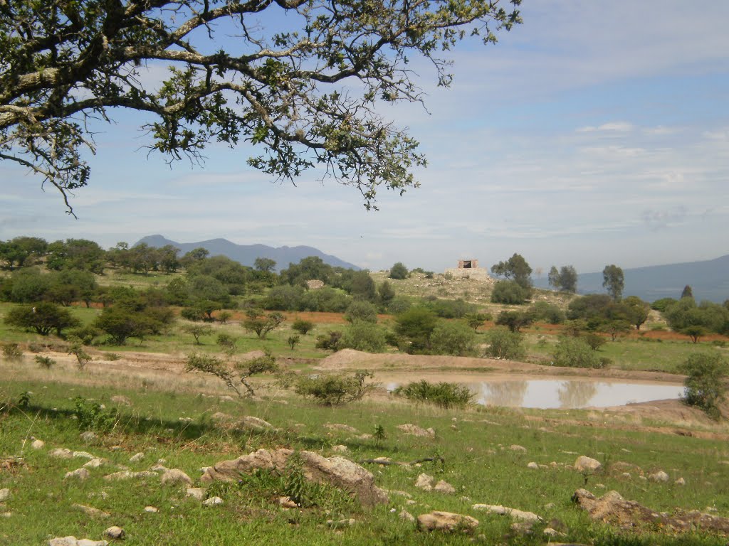 Reserva natural del cerro del Toro