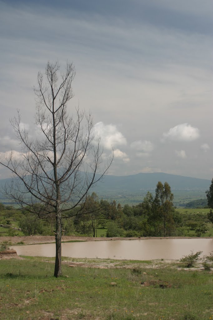Reserva natural del cerro del Toro