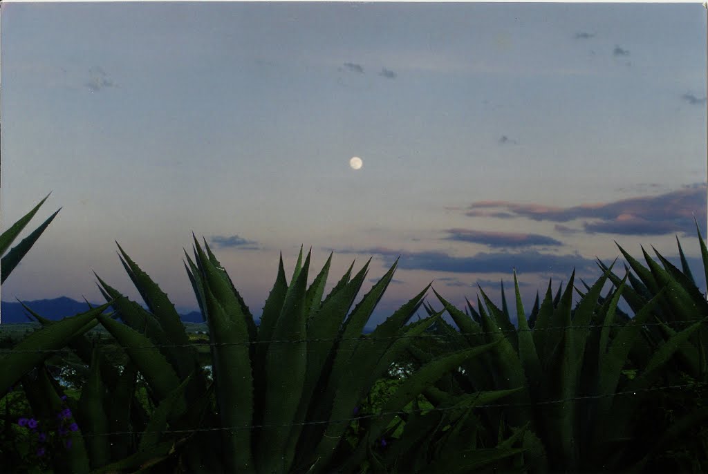 Acambaro " Lugar de magueyes "