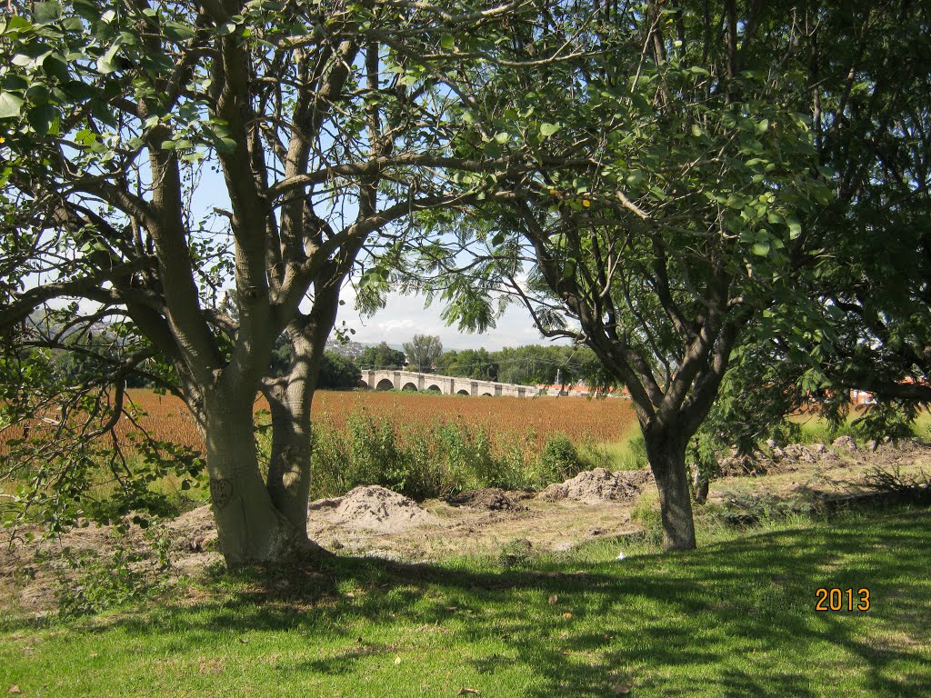 Marco natural del Puente de Piedra(Acambaro Gto.)