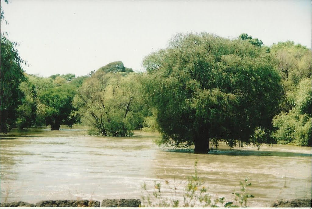 Rio Lerma(reclamando terreno)Acambaro Gto.