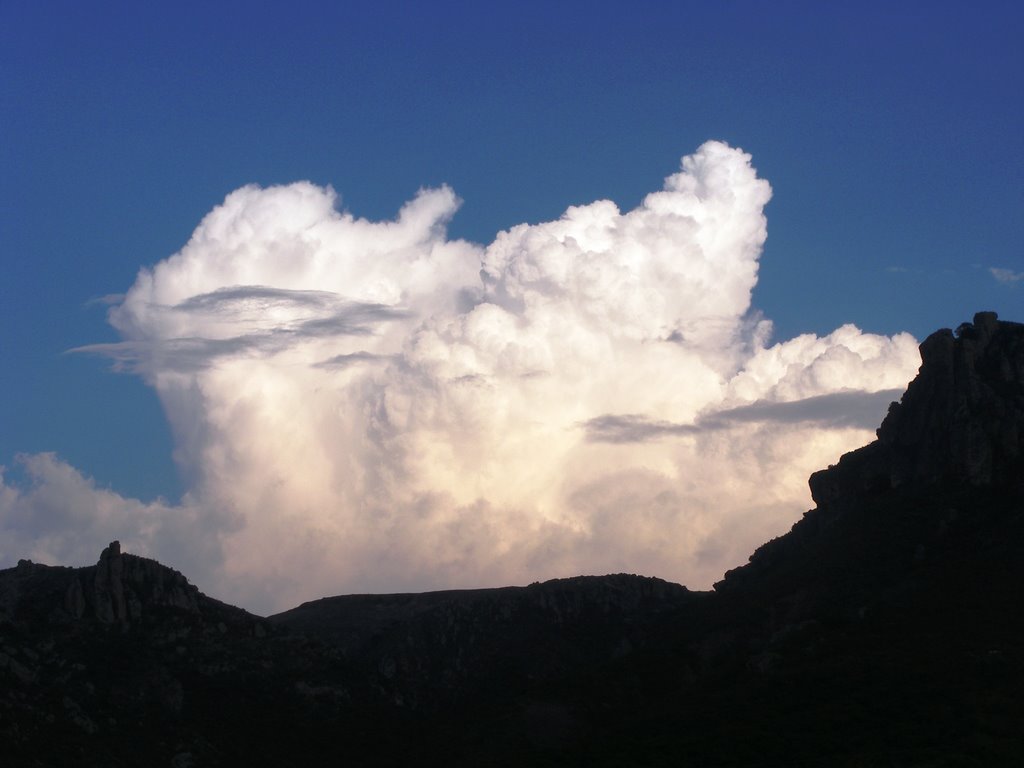 ERUPCION DE ALGODON¡¡¡ or "thunderstormclouds"