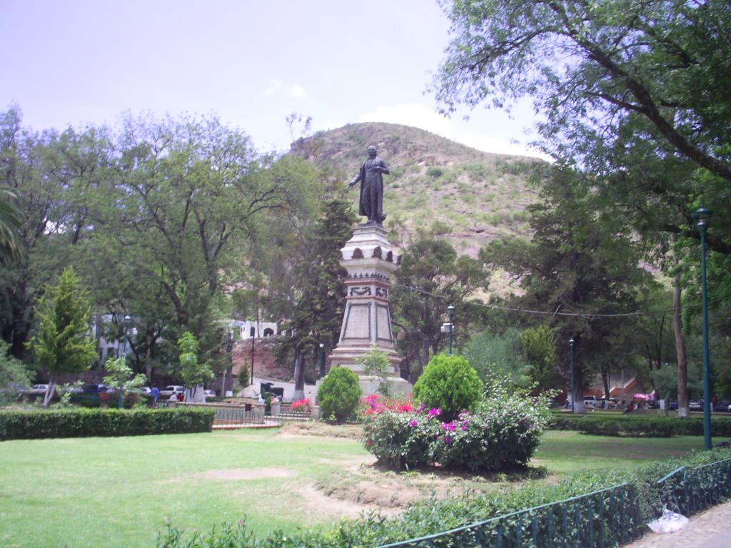Hermoso Jardin