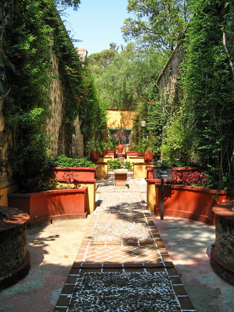 The narrow walled roman garden
