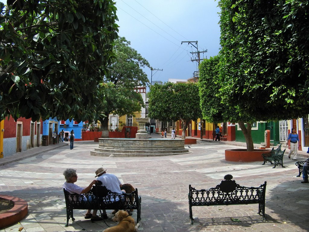A small plaza with trees and a fountain
