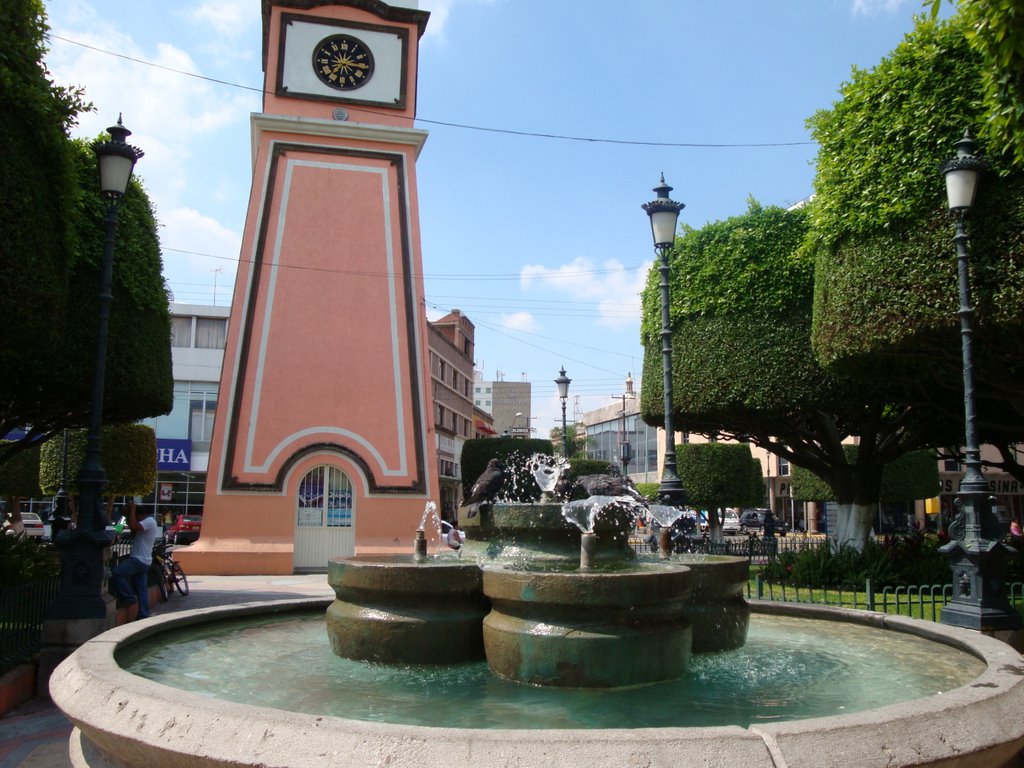 Plaza cerca del palacio municipal