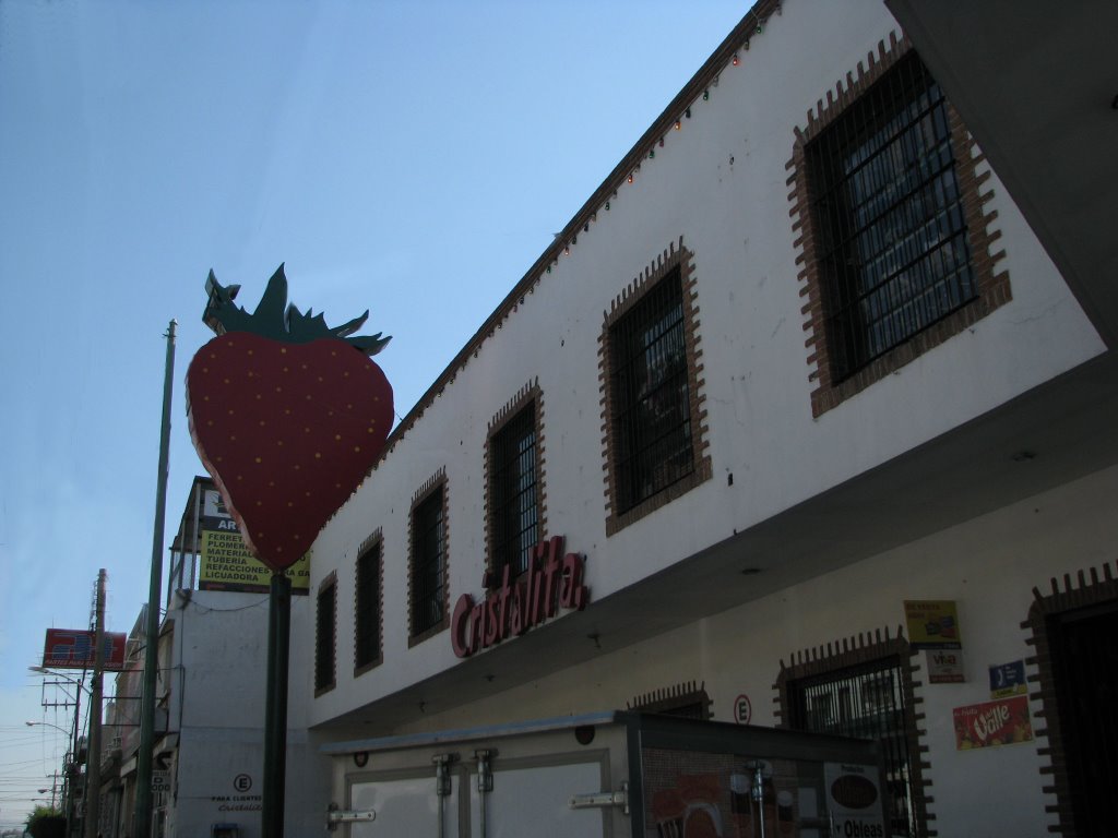 cristalita deliciosas fresas  irapuato guanajuato