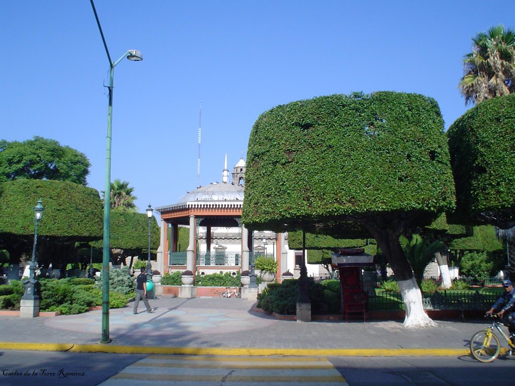 Jardín y Kiosko