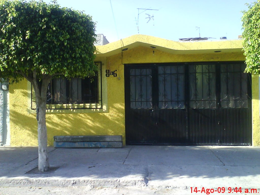 my house