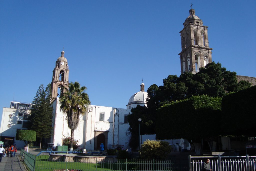 Irapuato