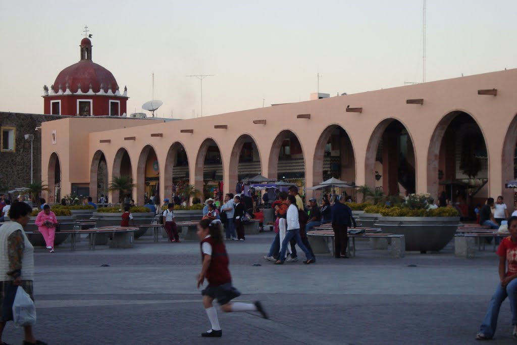El Mercado de Irapuato