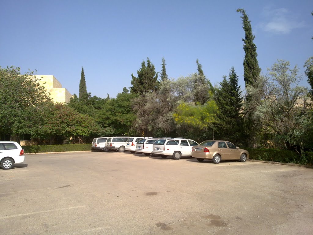 Icarda-rear Square*