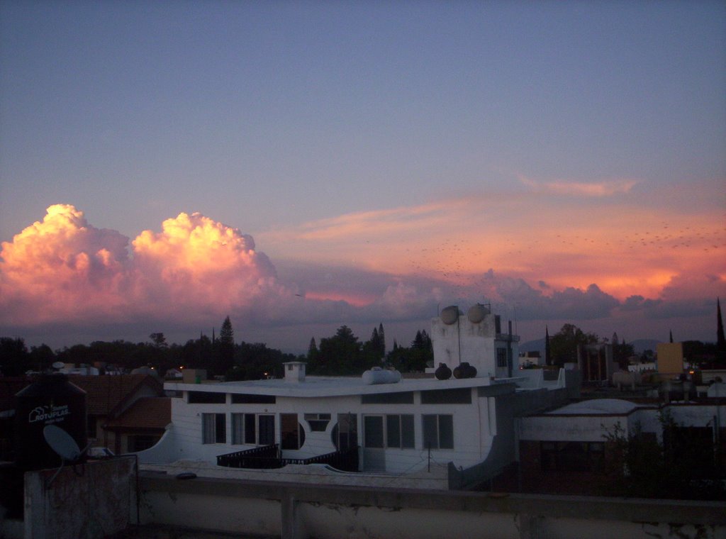 tarde desde mi casa, su casa.