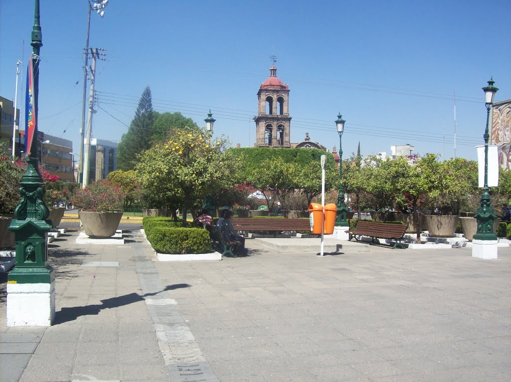 Irapuato centro