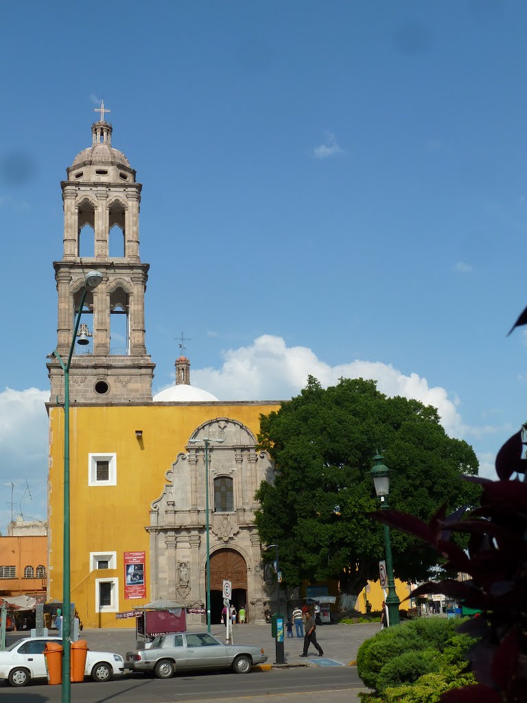 Centro de Irapuato.