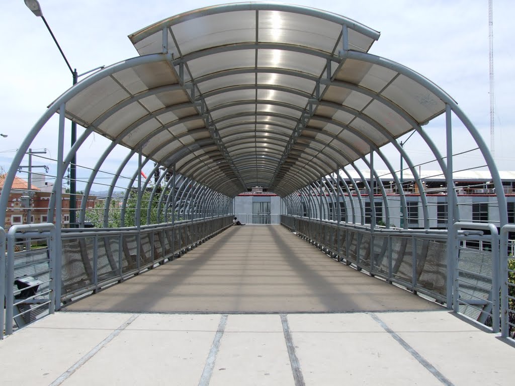 Puente del Estadio León