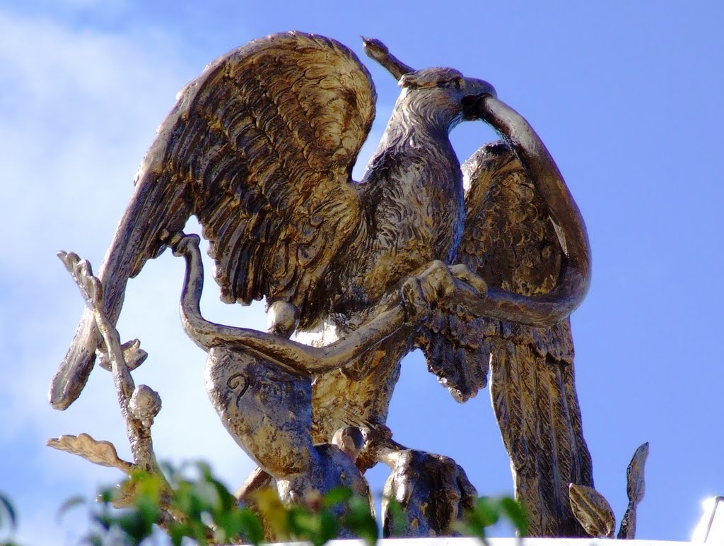 Águila Devorando Serpiente en La Plaza del Músico