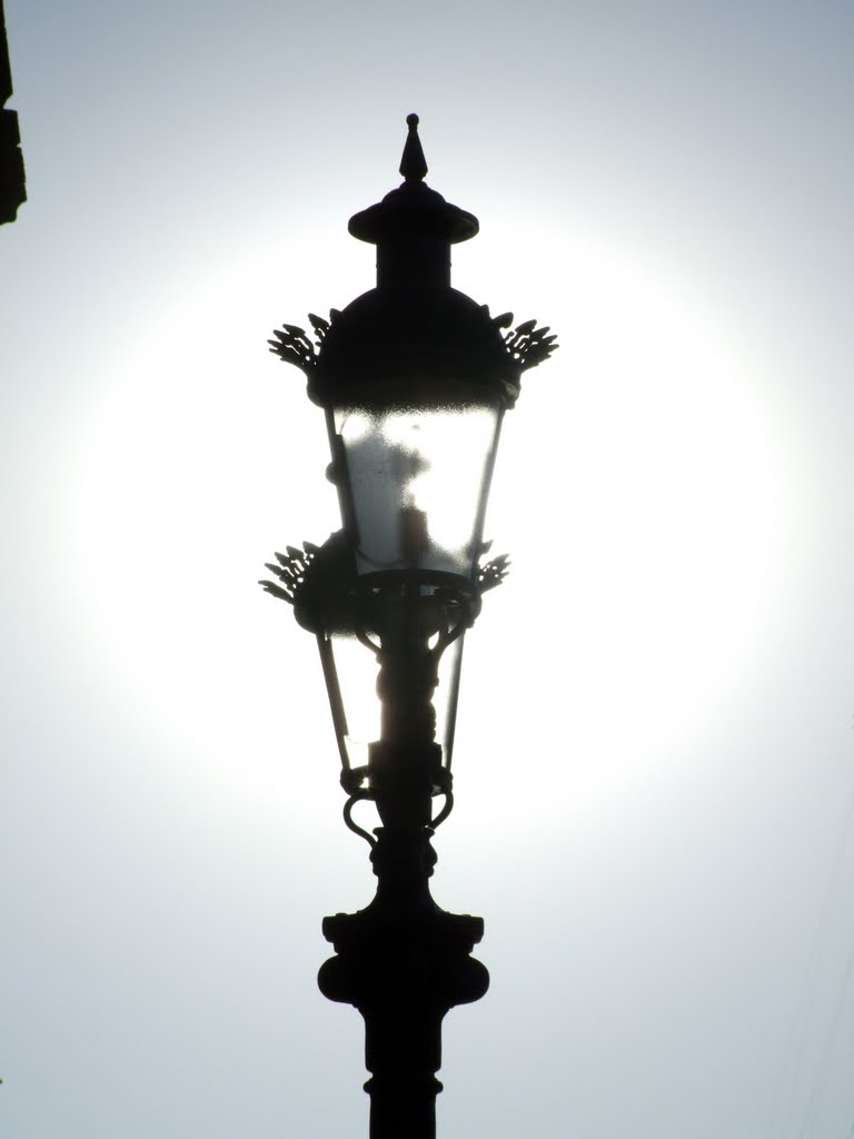 Farolitos del Centro Histórico