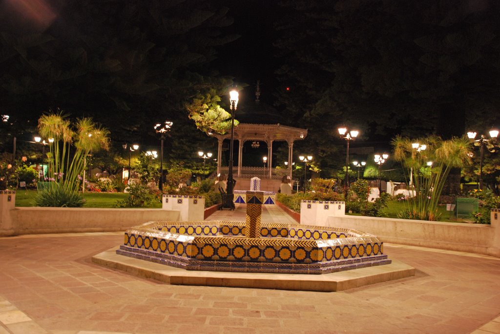 El Jardin de noche (at night)