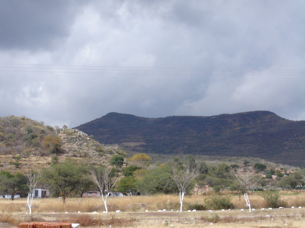 Panoramic view of "la cuesta" beside the highway to Magallanes