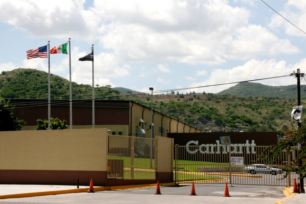 carhartt penjamo