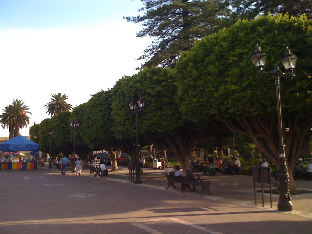 jardin principal de Pénjamo