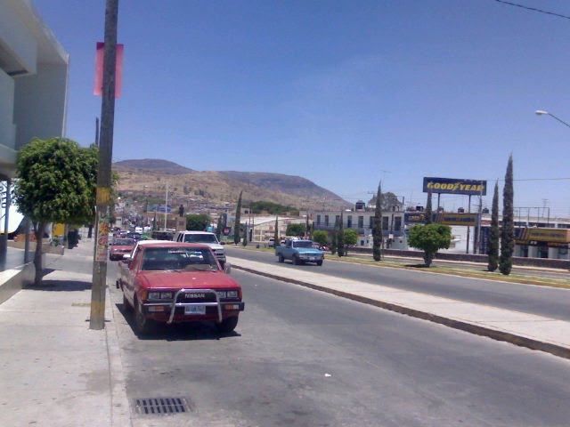 Aldama