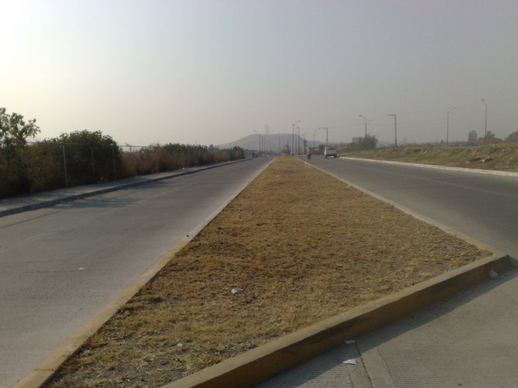cazadora