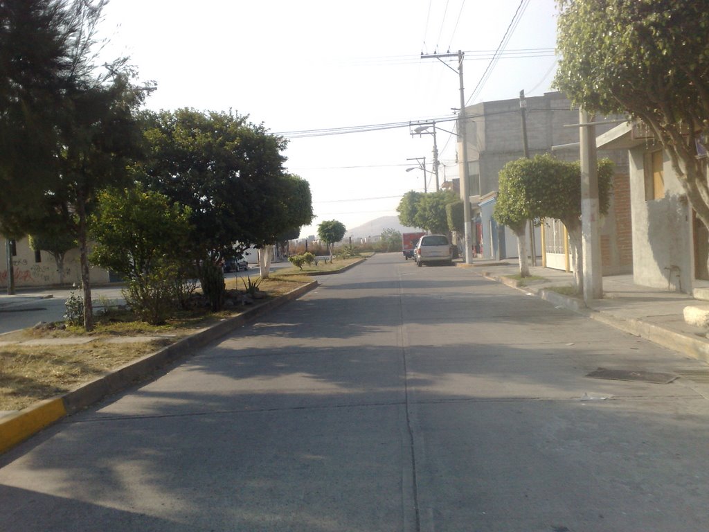 fracc. del parque