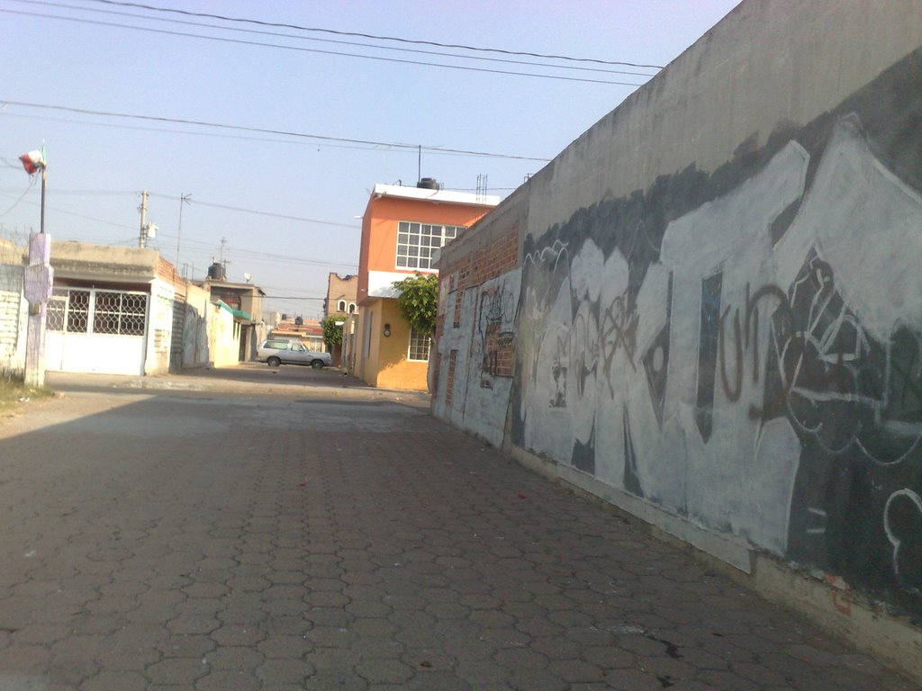 fraccionamento del parque