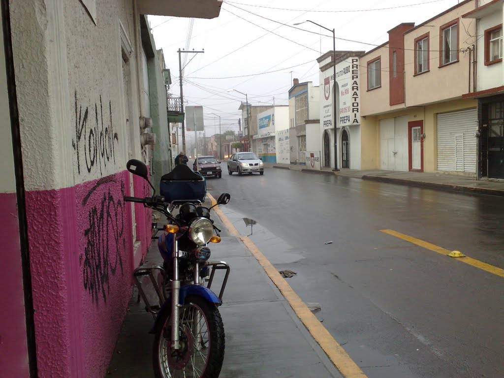 calle morelos