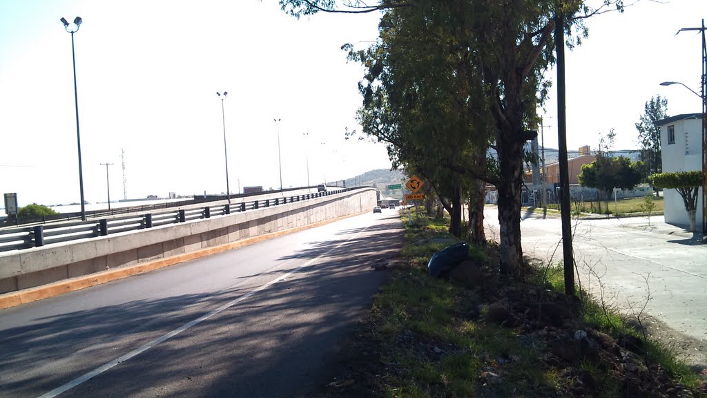 puente nuevo celaya irapuato