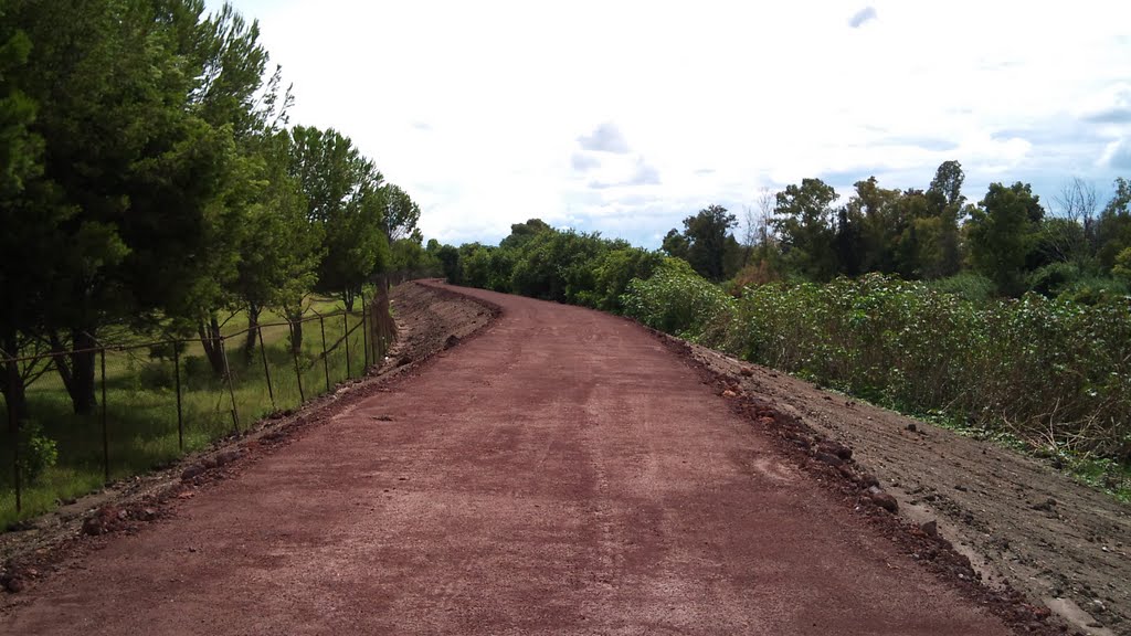 camino al puente en obra