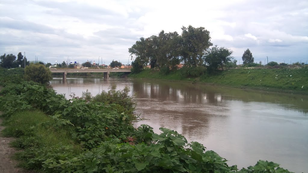puente cazadora