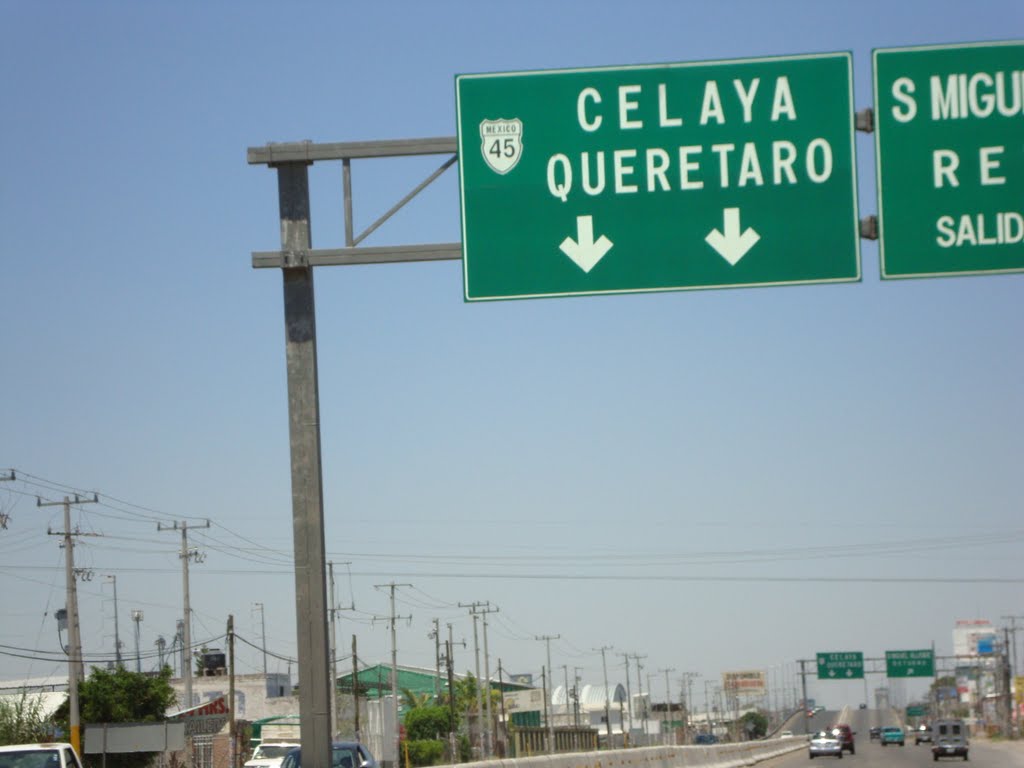 LLEGANDO A CELAYA