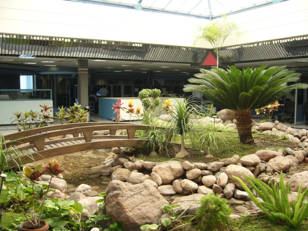 jardin botanico