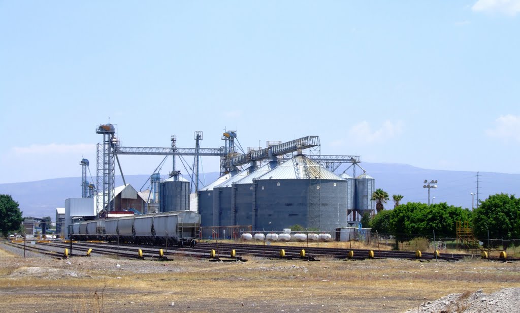 Industrias Bachoco Celaya